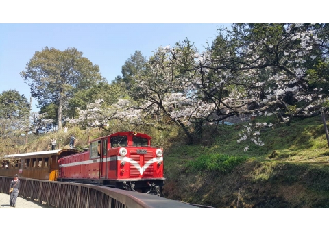 天樂旅遊~南部地區旅遊包車